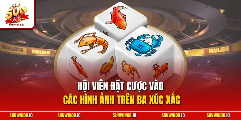 Hội viên đặt cược vào các hình ảnh trên ba xúc xắc